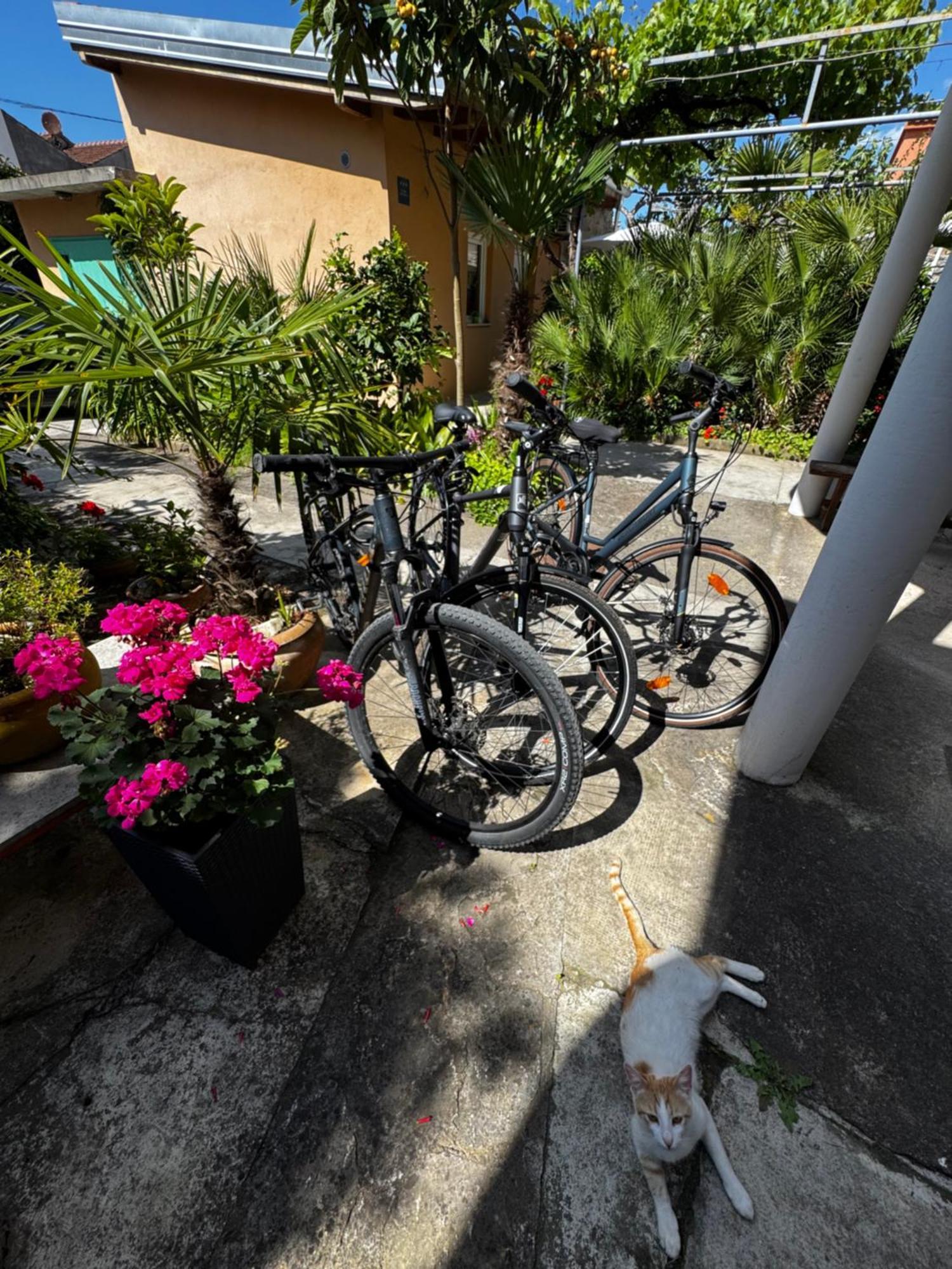 Eleonora Apartments Zadar Exteriör bild